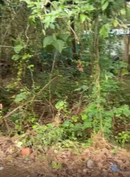 Nachinola, North Goa, Goa