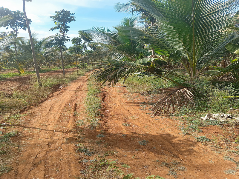 Additional image 3 of T Narasipura Road, Mysore