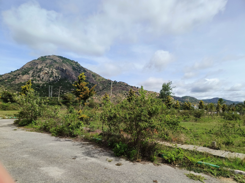Additional image 3 of Nandi Hills, Bangalore