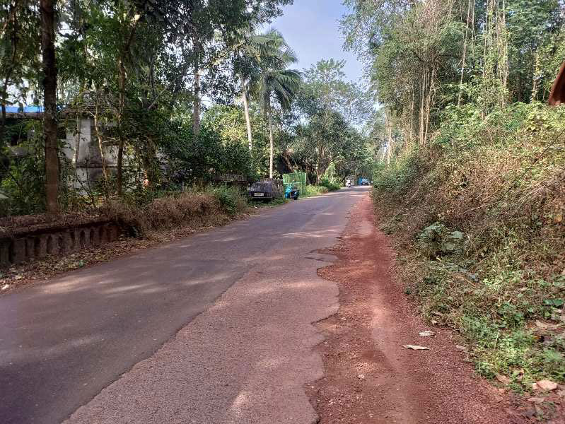 Camurlim, North Goa, Goa