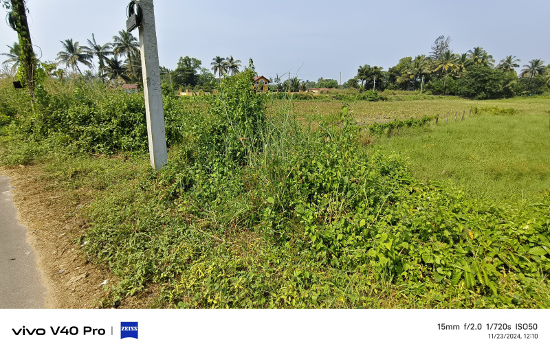 Additional image 2 of Colva, South Goa, Goa