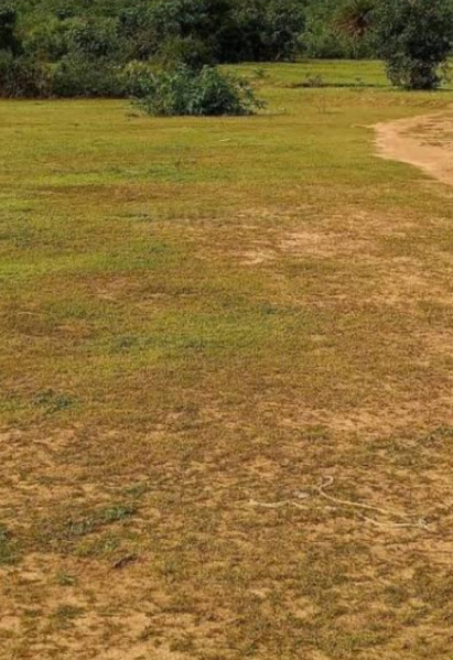 Additional image 3 of Saravanampatti, Coimbatore