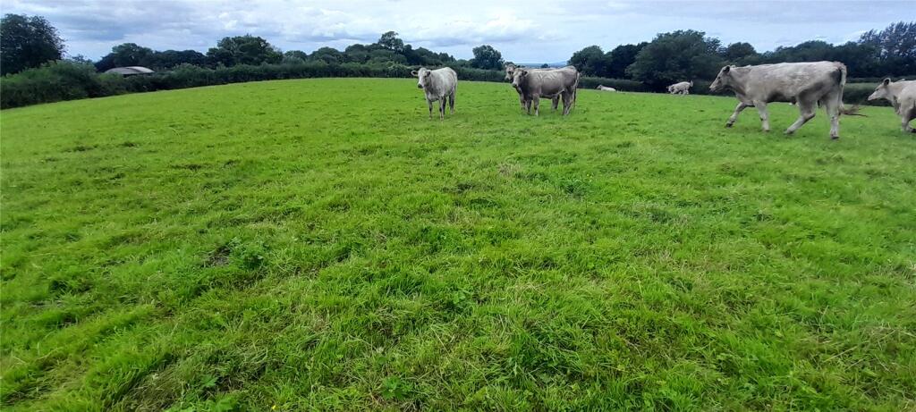 Property image for Glastonbury, Somerset, BA6