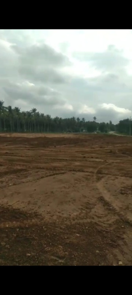 Additional image 3 of Pollachi, Coimbatore