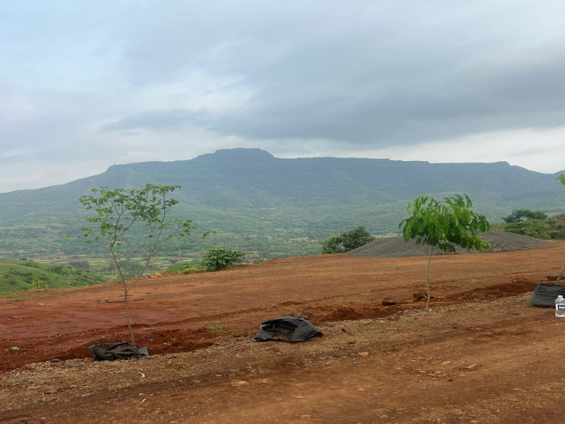 Additional image 3 of Velhe, Pune