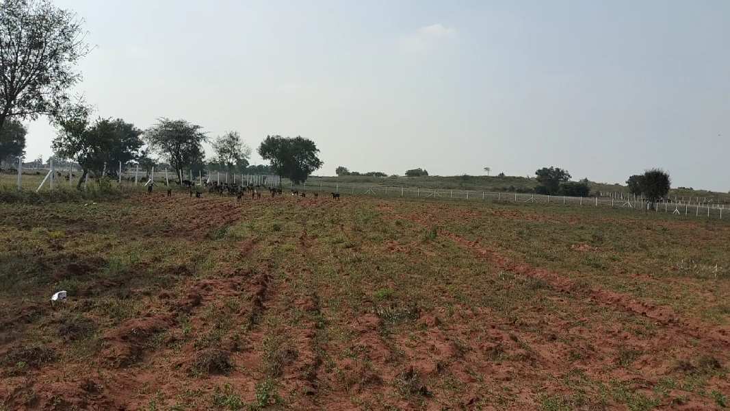 Additional image 3 of Manneguda, Hyderabad