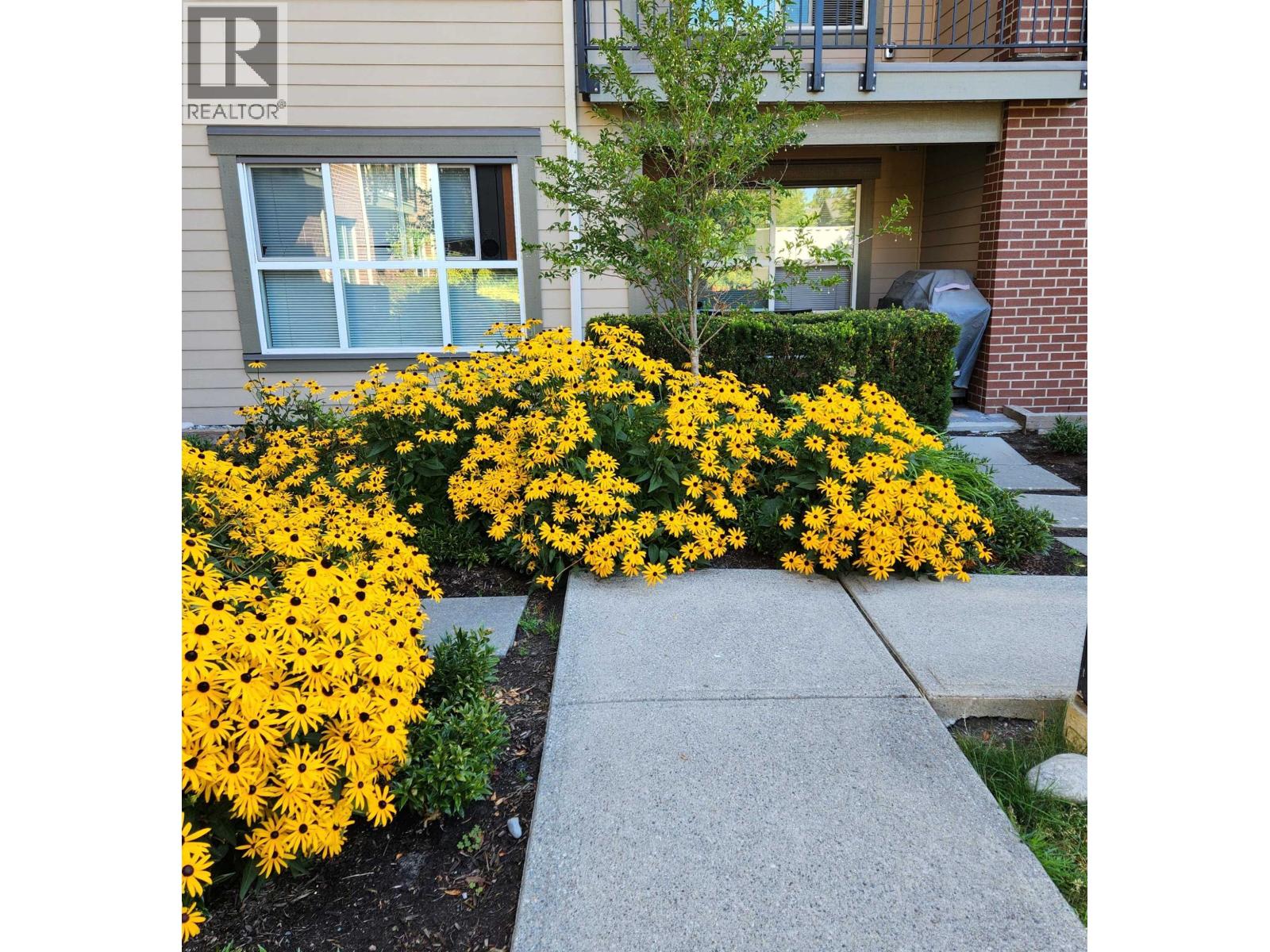 106 5889 IRMIN STREET|Burnaby, British Columbia V5J0C1