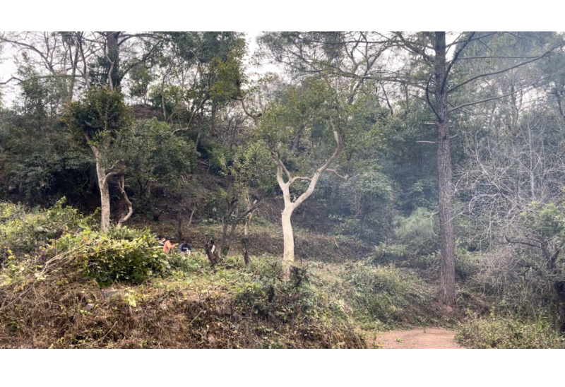 Additional image 3 of Morni Hills, Panchkula