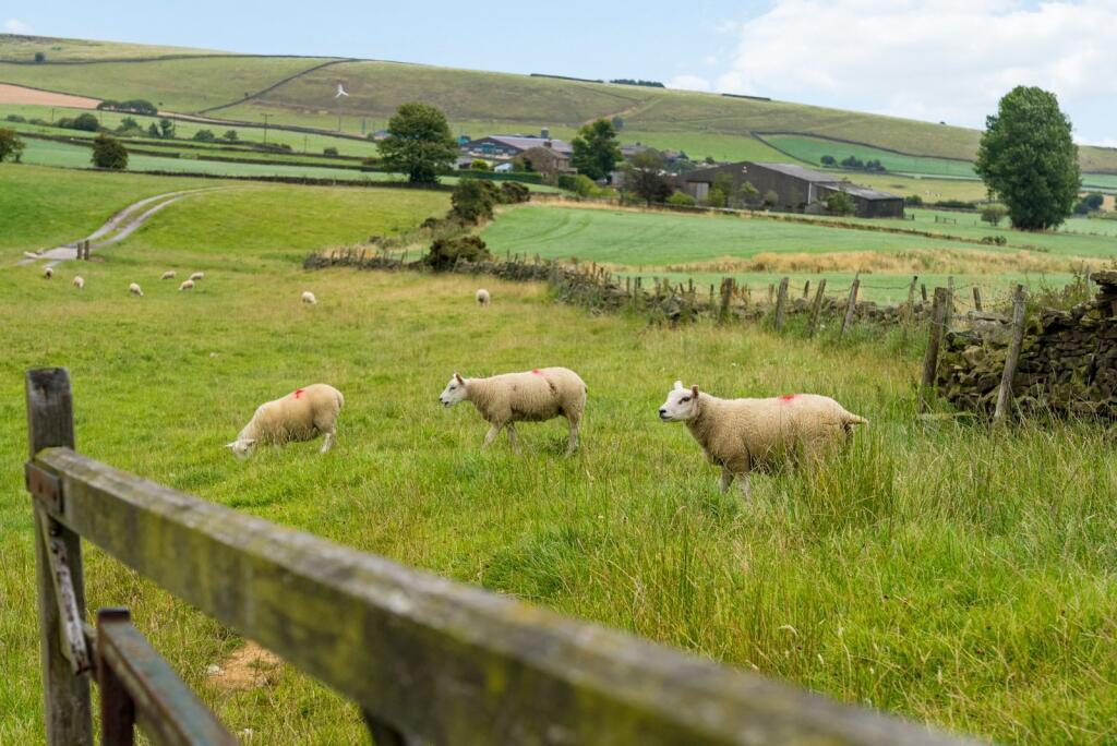 Additional image 51 of Green Lane, Silsden, BD20