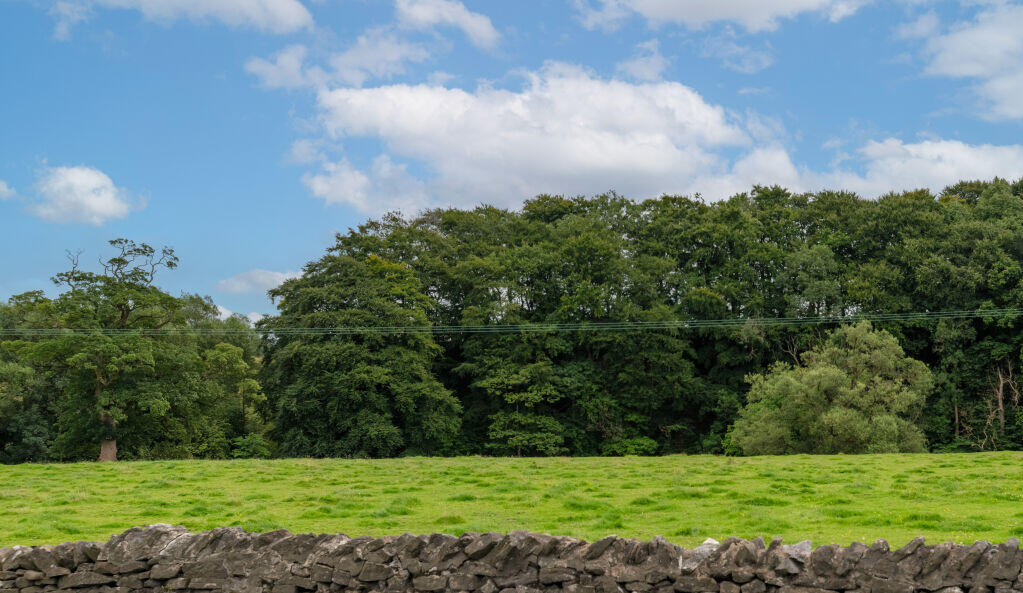 Additional image 12 of Sandholme Drive, Giggleswick, Settle, BD24