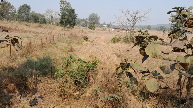 Additional image 2 of Murbad, Thane