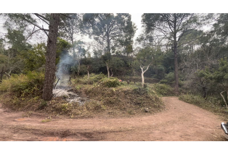 Additional image 2 of Morni Hills, Panchkula