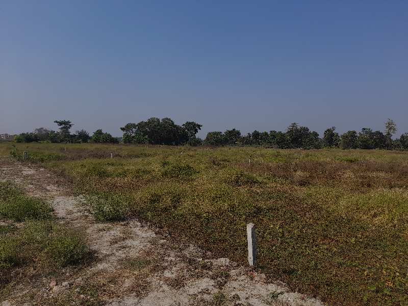 Additional image 2 of Joka, Kolkata