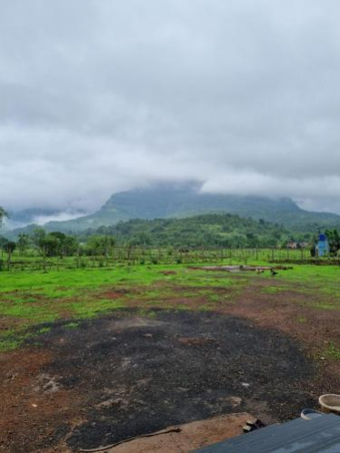 Additional image 3 of Tehla, Alwar