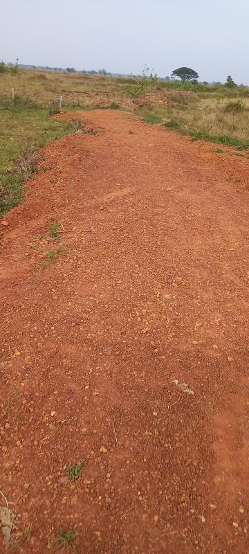 Additional image 3 of Gangapada, Bhubaneswar