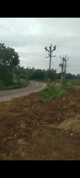 Additional image 2 of Pollachi, Coimbatore