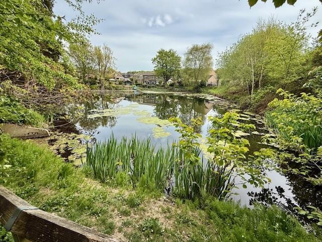 Additional image 19 of Brackendale, Thackley, Bradford