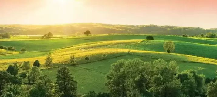 Additional image 2 of Devanhalli Road, Bangalore