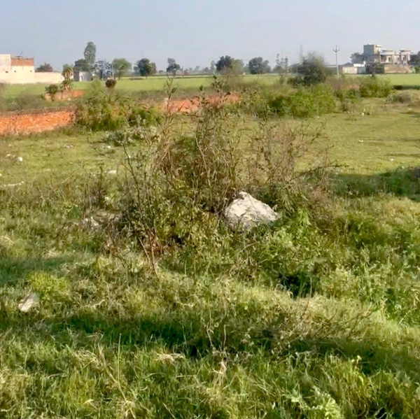 Additional image 3 of Jandiala Guru, Amritsar