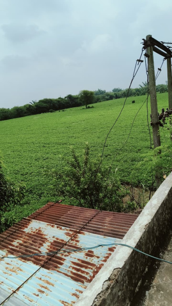 Additional image 3 of Khajuri Sadak, Bhopal