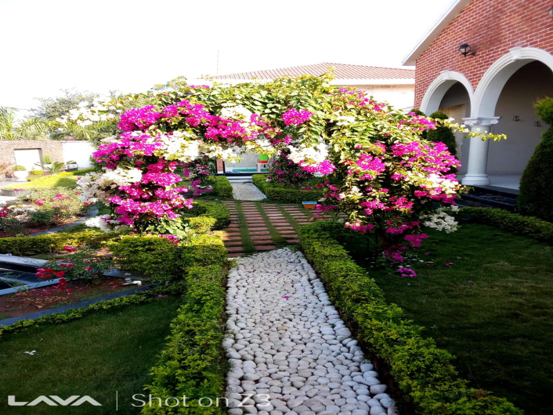 Additional image 3 of A B Road, Indore