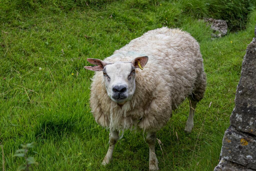 Additional image 35 of Airton, Skipton, North Yorkshire, BD23