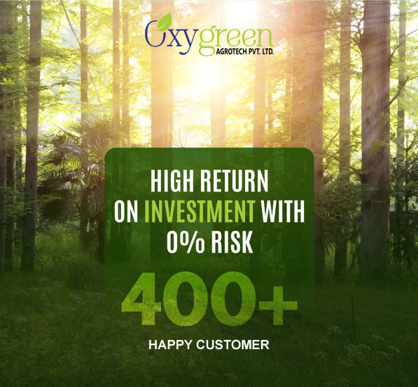 Additional image 2 of Butibori, Nagpur