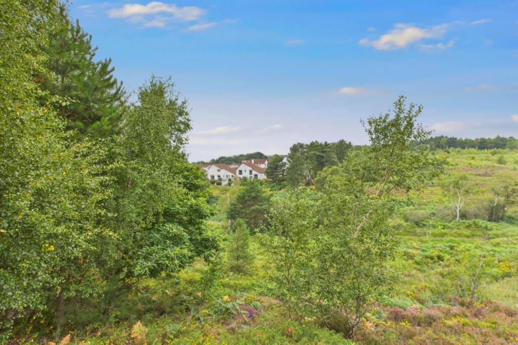 Additional image 33 of Tollerford Road, Poole, Dorset, BH17