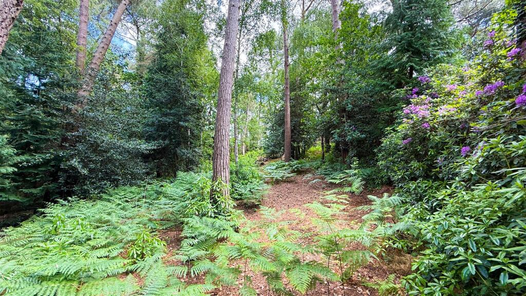 Additional image 15 of Western Avenue, Branksome Park