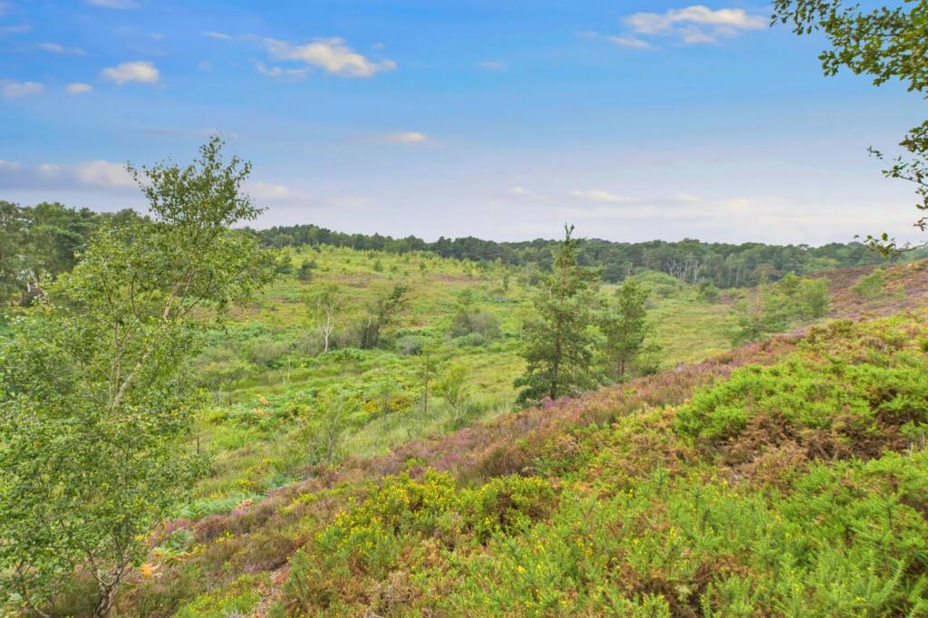 Additional image 34 of Tollerford Road, Poole, Dorset, BH17