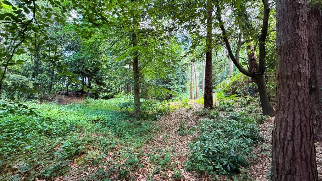 Additional image 7 of Western Avenue, Branksome Park