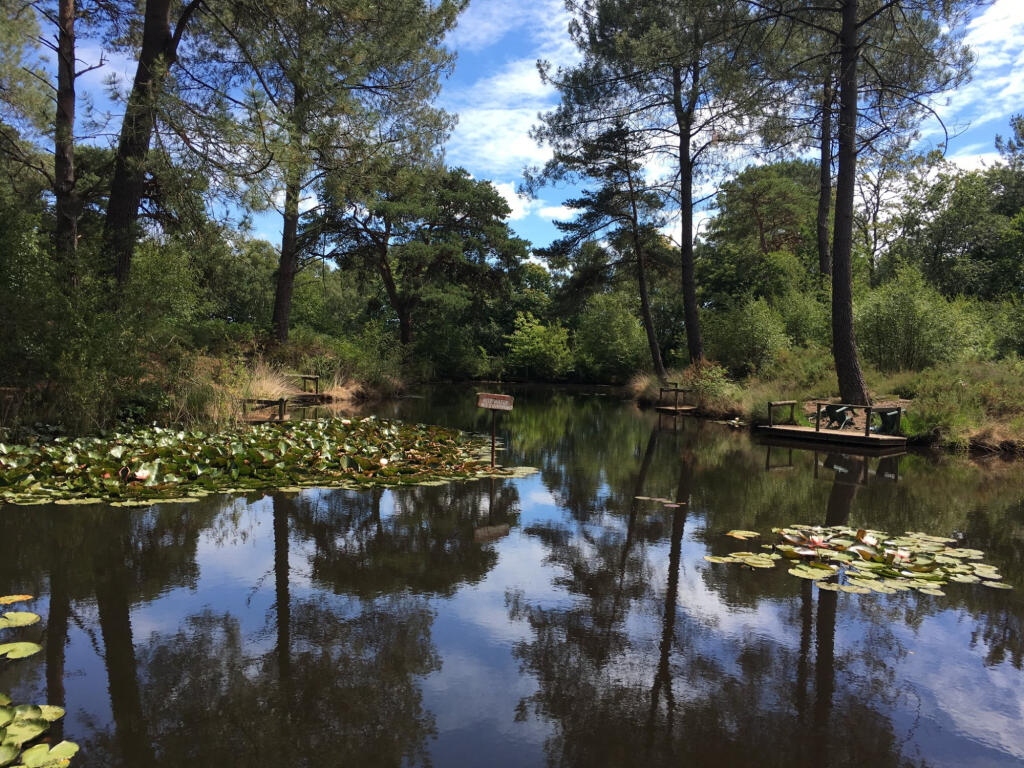 Additional image 11 of Poole, Dorset, BH16