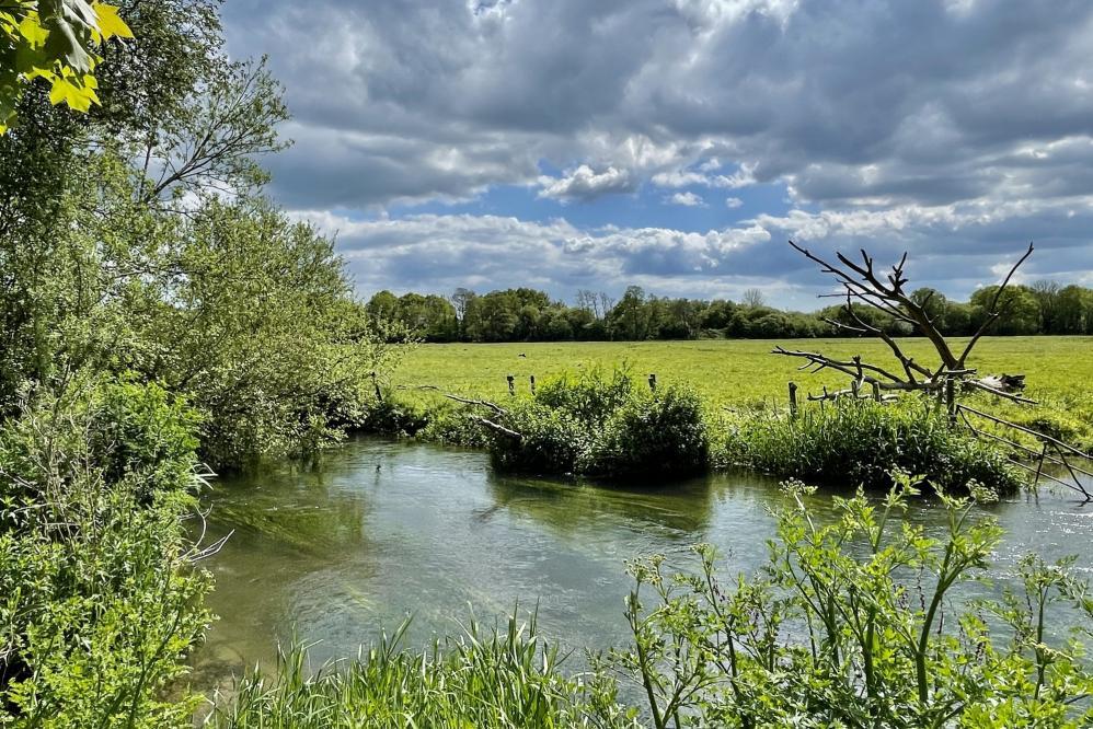 Additional image 19 of Kingsbury Lane, Ringwood, BH24