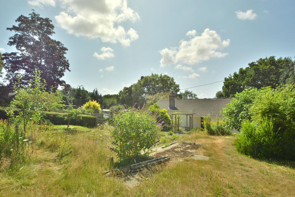 Additional image 26 of Woodhuish Coniferales, Holt, Wimborne, BH21 7EA