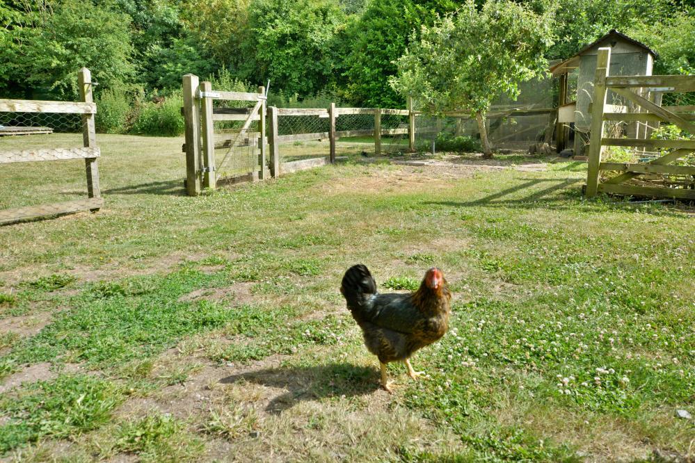 Additional image 31 of Matterley Cottages, Wimborne, BH21 7HN