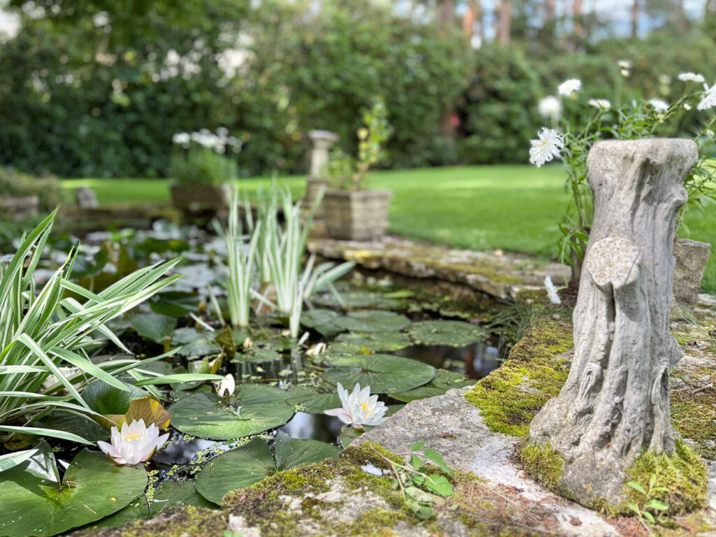 Additional image 25 of Nr Avon Castle, Ringwood, BH24 2AL