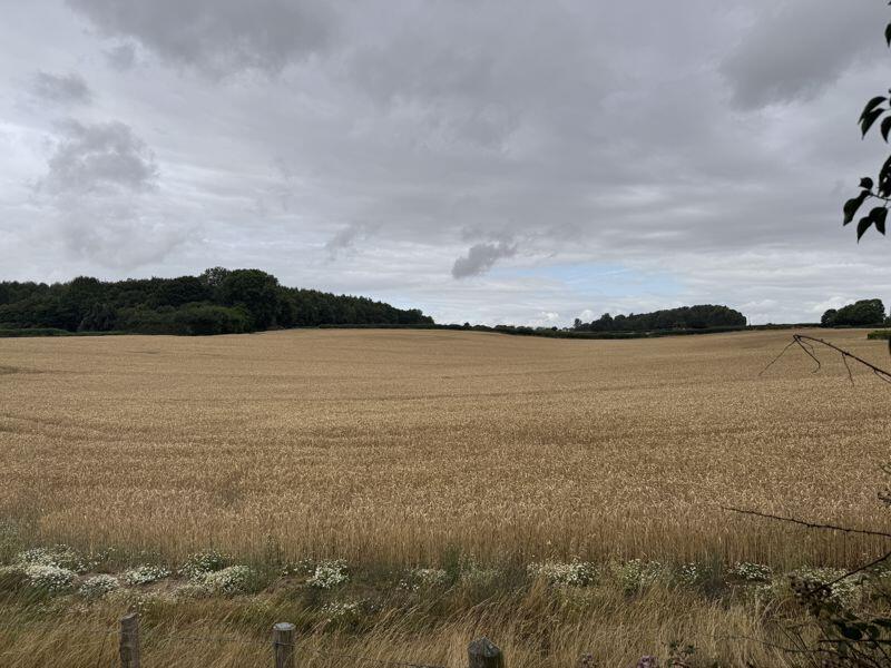 Additional image 13 of East Morden, Wareham