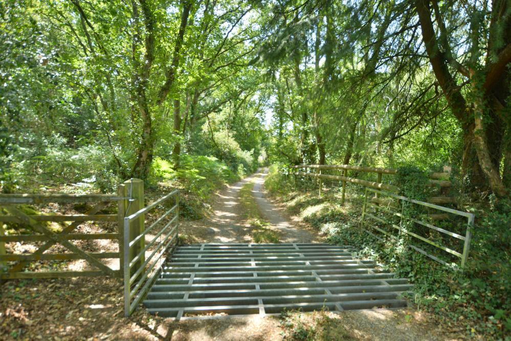 Additional image 31 of Woodhuish Coniferales, Holt, Wimborne, BH21 7EA