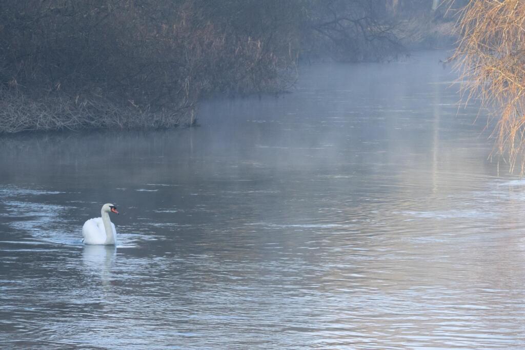 Additional image 22 of Broadway Lane, Bournemouth, BH8