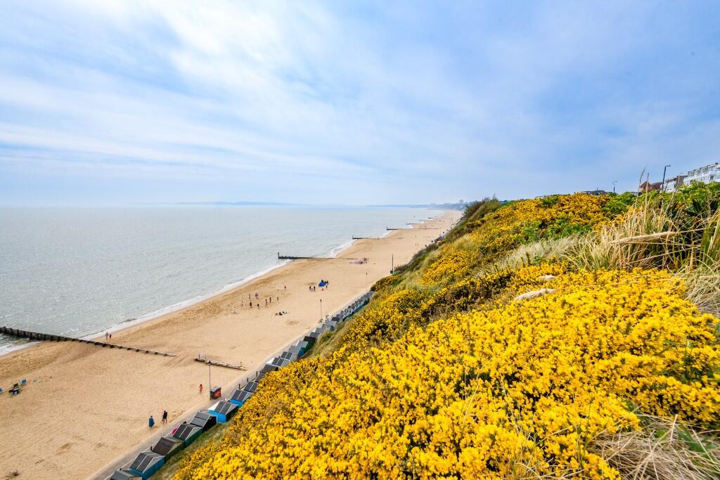 Additional image 23 of Southbourne Overcliff