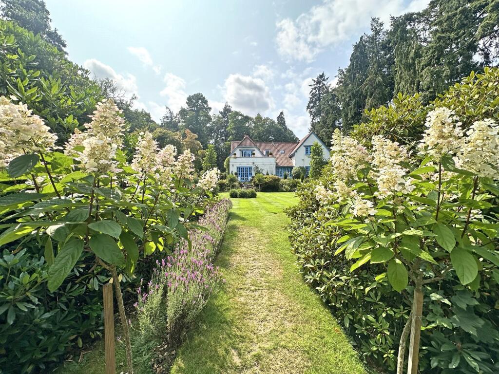 Additional image 35 of Tyrells Lane, Burley, Ringwood, Hampshire, BH24