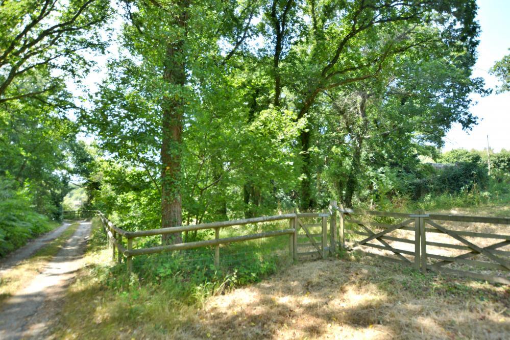 Additional image 32 of Woodhuish Coniferales, Holt, Wimborne, BH21 7EA