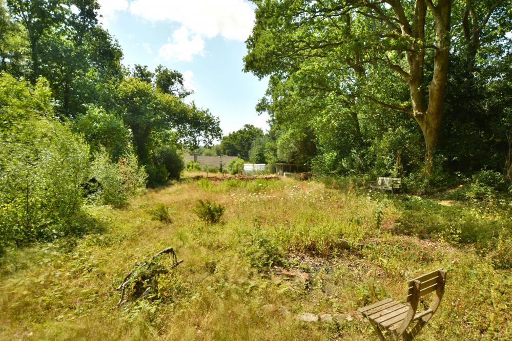 Additional image 28 of Woodhuish Coniferales, Holt, Wimborne, BH21 7EA