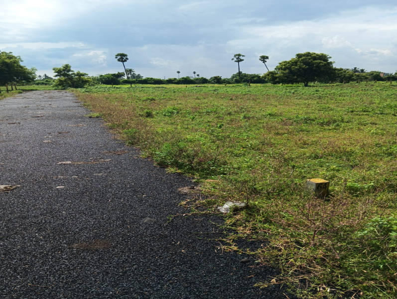 Additional image 3 of Veppampattu, Chennai