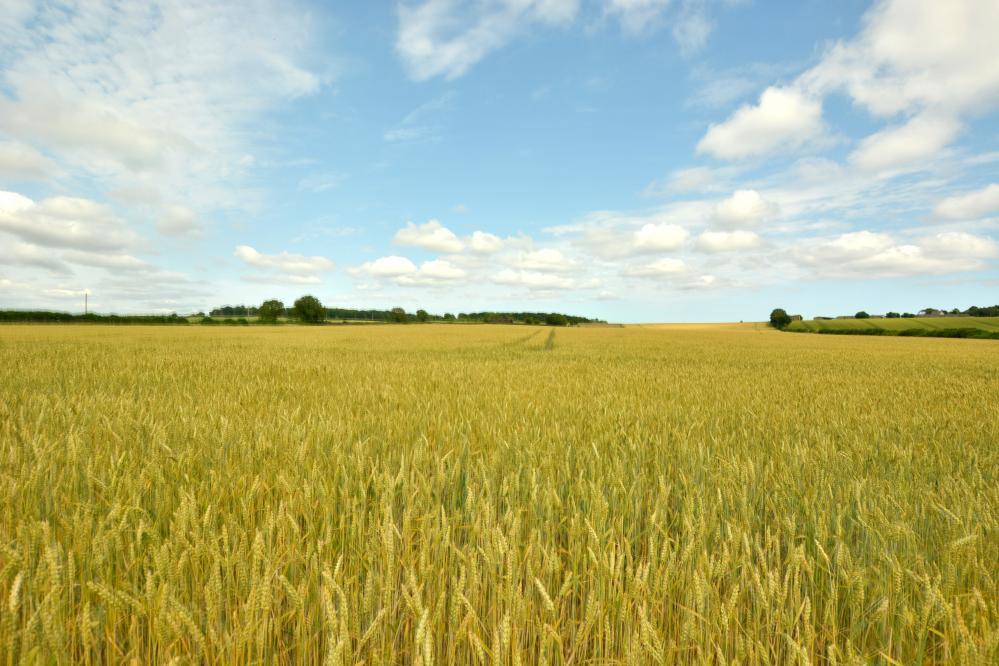 Additional image 38 of Matterley Cottages, Wimborne, BH21 7HN