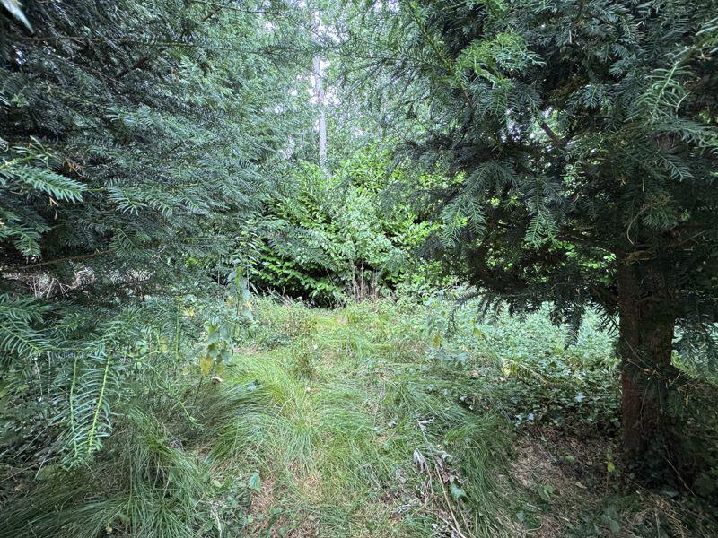 Additional image 15 of East Morden, Wareham