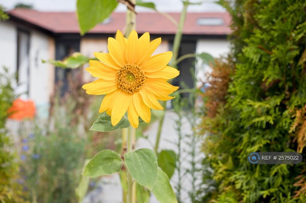 Additional image 11 of Wayside Road, St. Leonards, Ringwood, BH24