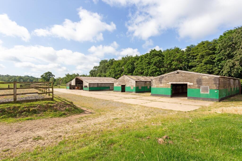 Additional image 5 of Moyles Court, Rockford, Ringwood, Hampshire, BH24