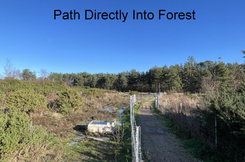 Additional image 16 of Gold Drive, St. Leonards, BH24