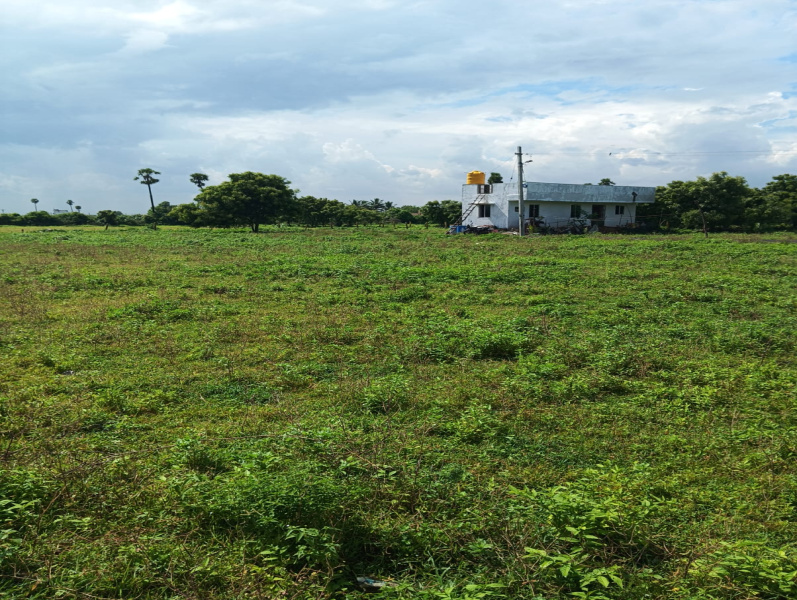 Veppampattu, Chennai